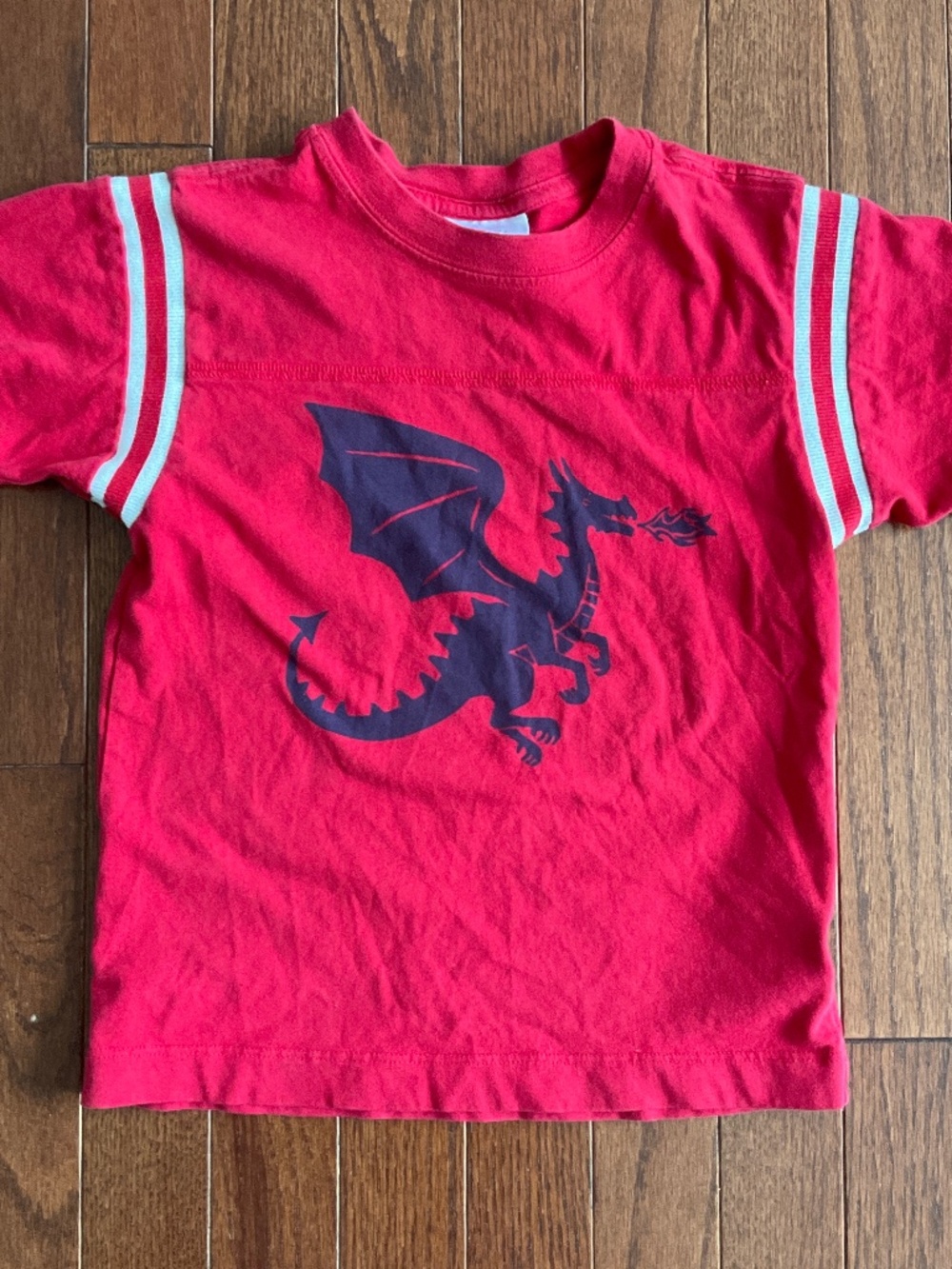 Hanna Anderson Dragon T-Shirt Jersey